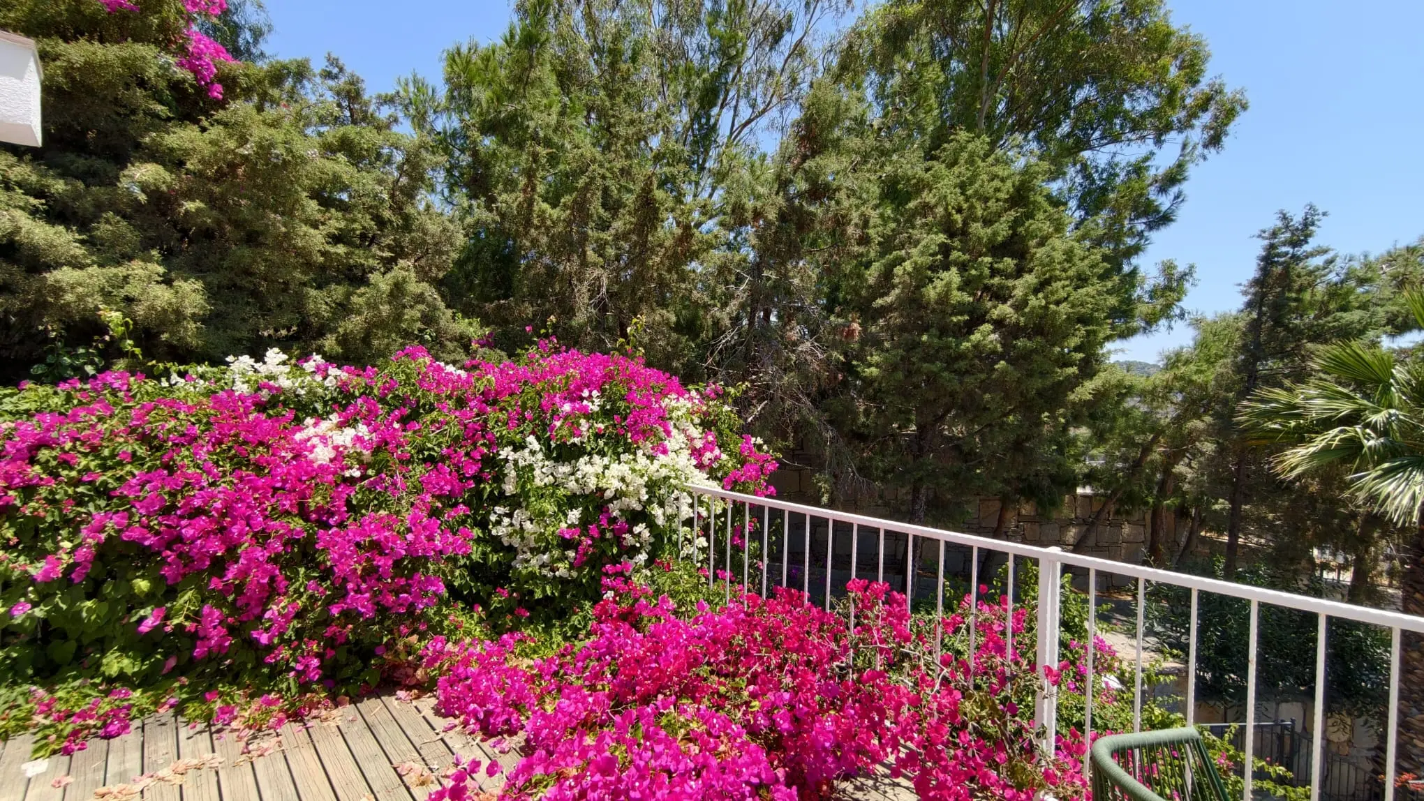 Terrace area